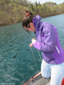 Kozjak NJ 20160407